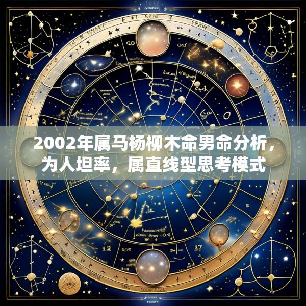 2002年属马杨柳木命男命分析，为人坦率，属直线型思考模式