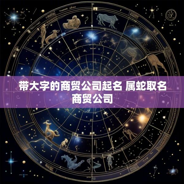 带大字的商贸公司起名 属蛇取名商贸公司