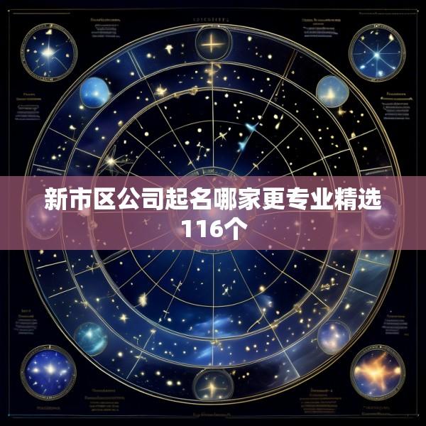 新市区公司起名哪家更专业精选116个