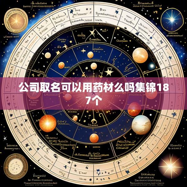 公司取名可以用药材么吗集锦187个