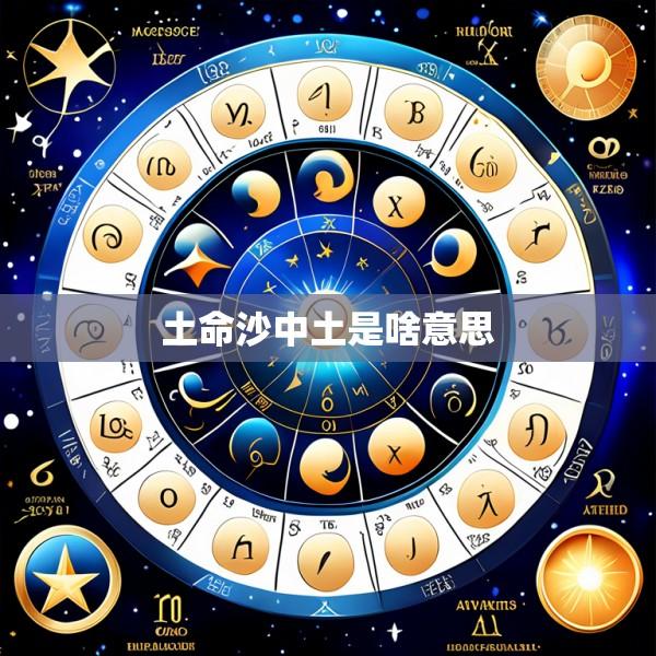 土命沙中土是啥意思
