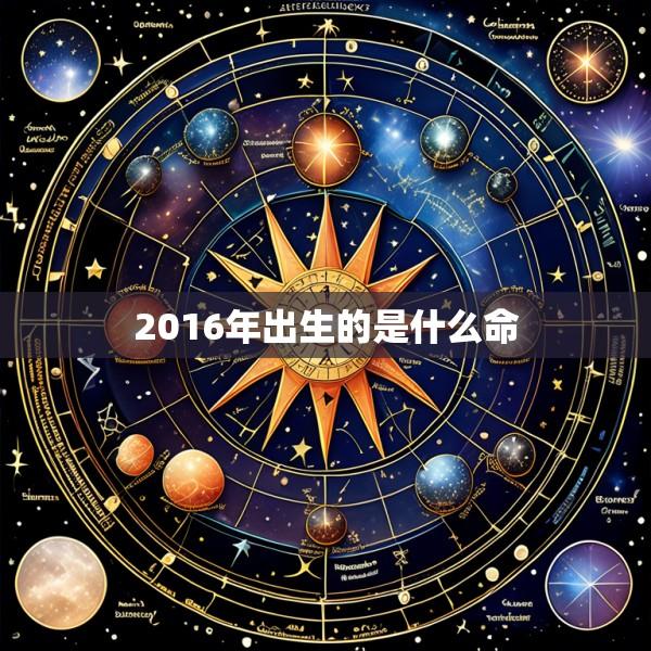 2016年出生的是什么命