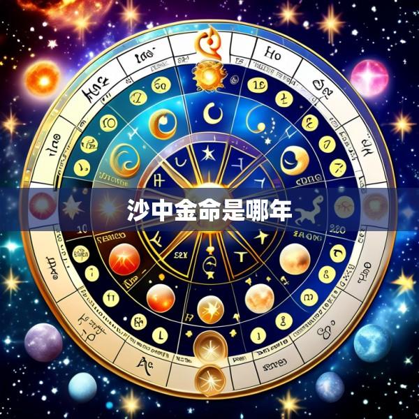 沙中金命是哪年