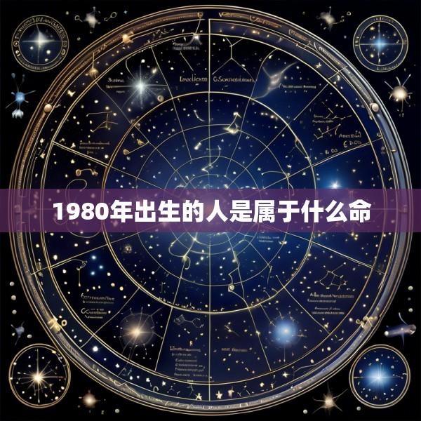 1980年出生的人是属于什么命