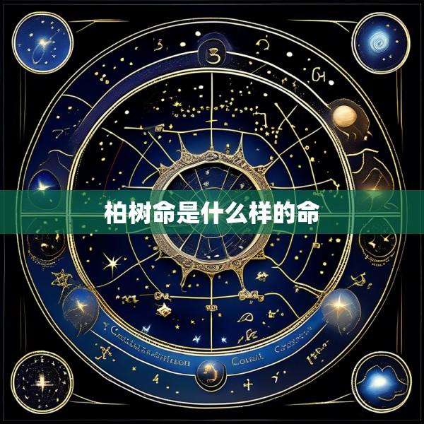柏树命是什么样的命