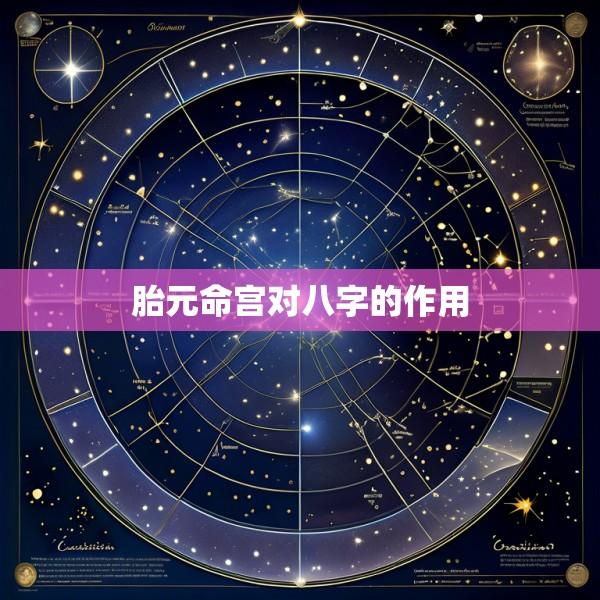 胎元命宫对八字的作用