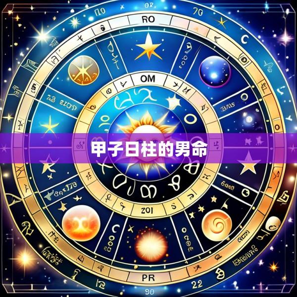 甲子日柱的男命
