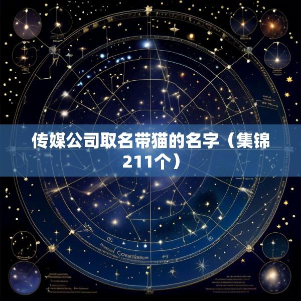 传媒公司取名带猫的名字（集锦211个）