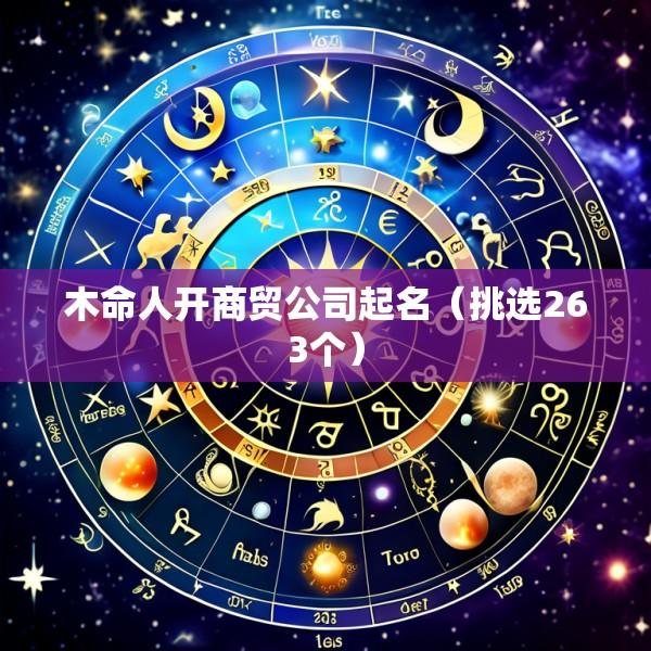 木命人开商贸公司起名（挑选263个）
