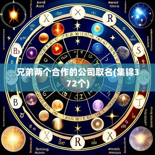 兄弟两个合作的公司取名(集锦372个)