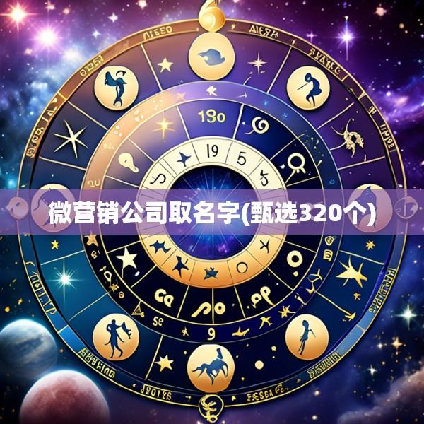 微营销公司取名字(甄选320个)