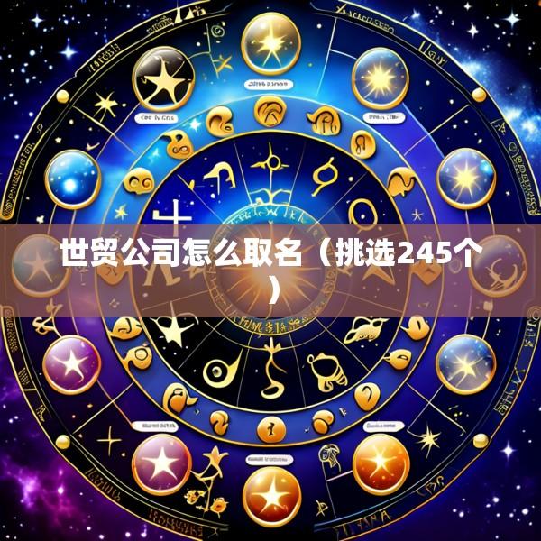 世贸公司怎么取名（挑选245个）