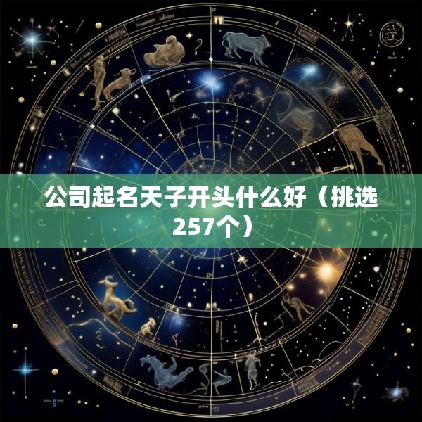 公司起名天子开头什么好（挑选257个）