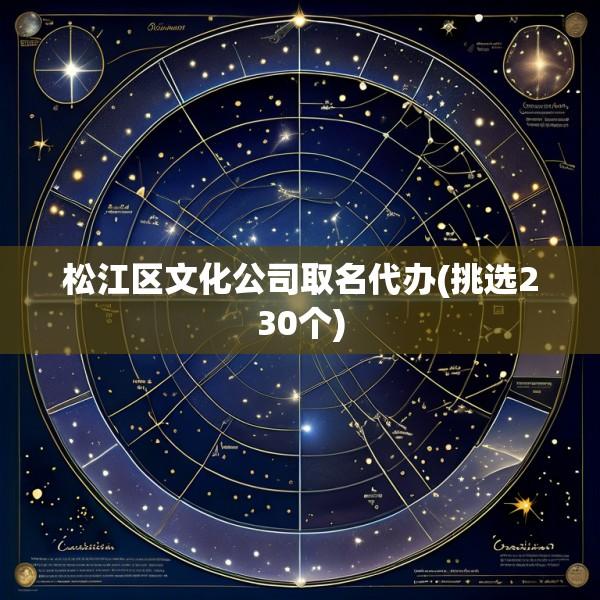 松江区文化公司取名代办(挑选230个)