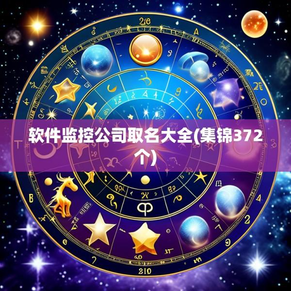 软件监控公司取名大全(集锦372个)