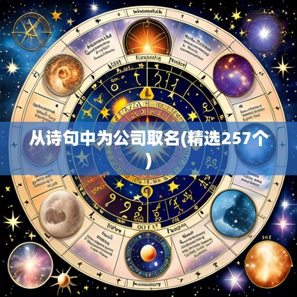 从诗句中为公司取名(精选257个)