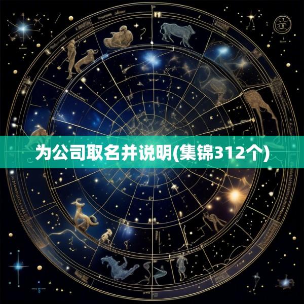 为公司取名并说明(集锦312个)