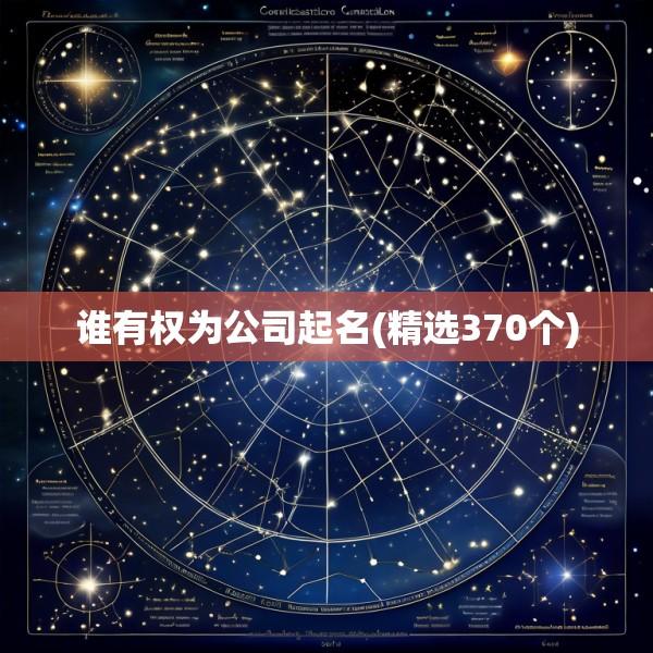 谁有权为公司起名(精选370个)