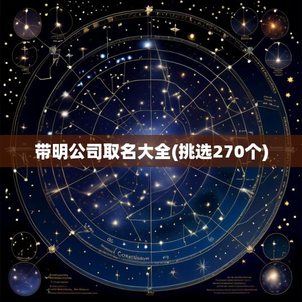 带明公司取名大全(挑选270个)