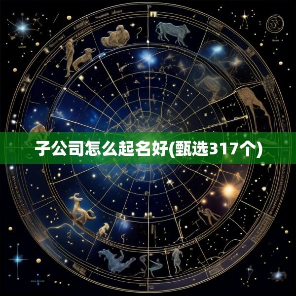 子公司怎么起名好(甄选317个)