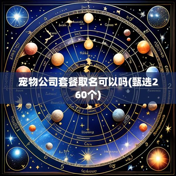 宠物公司套餐取名可以吗(甄选260个)