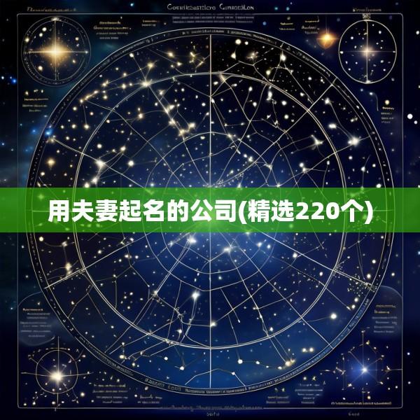 用夫妻起名的公司(精选220个)