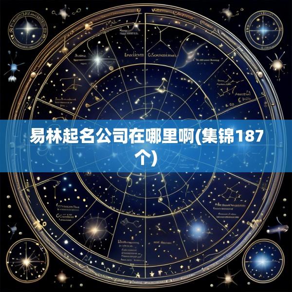 易林起名公司在哪里啊(集锦187个)