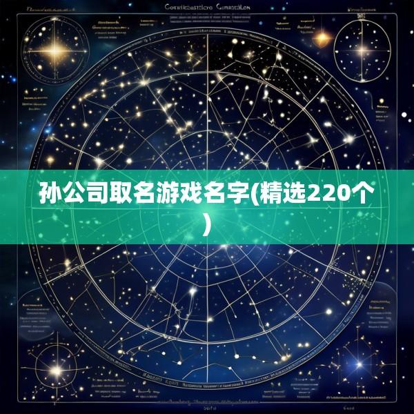 孙公司取名游戏名字(精选220个)