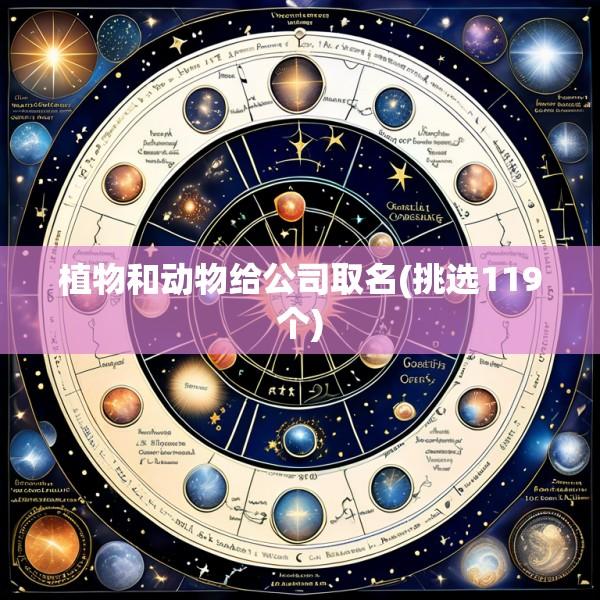 植物和动物给公司取名(挑选119个)