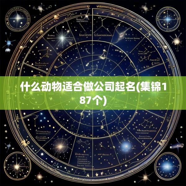 什么动物适合做公司起名(集锦187个)