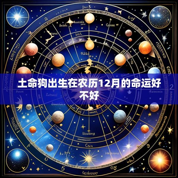 土命狗出生在农历12月的命运好不好