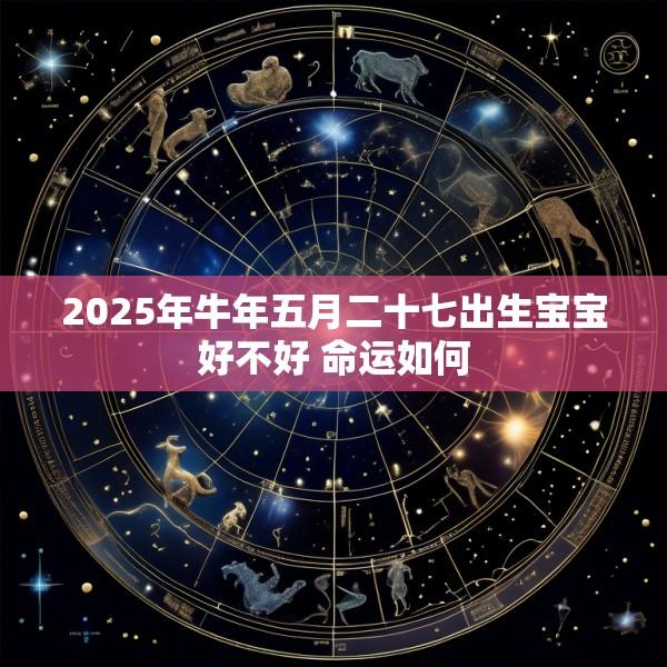 2025年牛年五月二十七出生宝宝好不好 命运如何