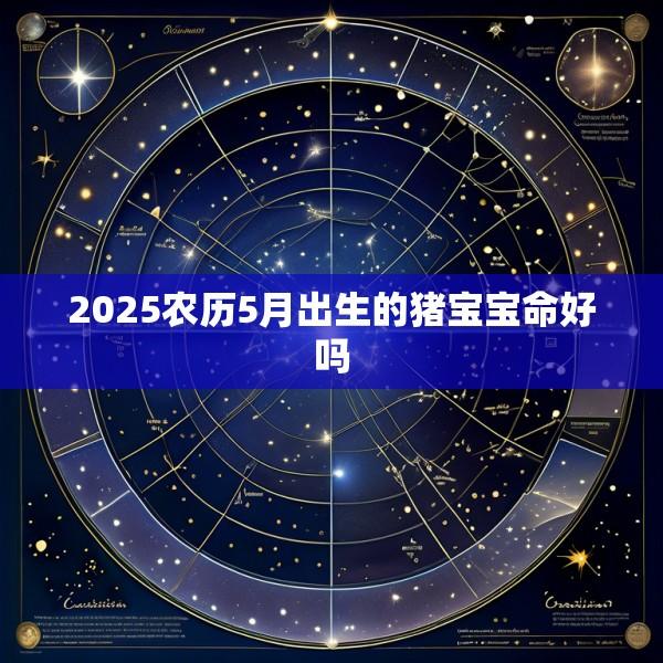 2025农历5月出生的猪宝宝命好吗