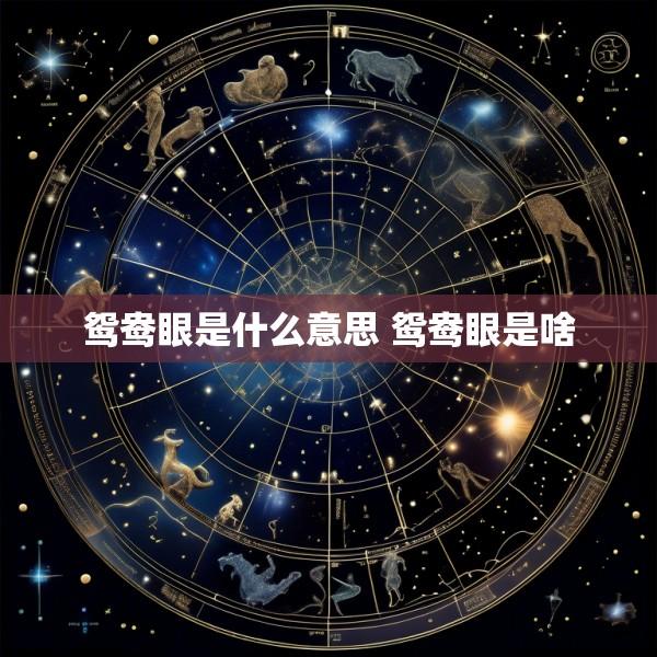 鸳鸯眼是什么意思 鸳鸯眼是啥
