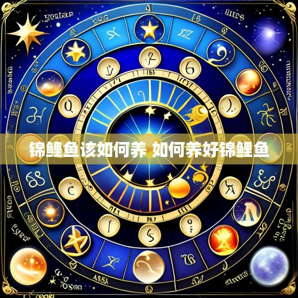 锦鲤鱼该如何养 如何养好锦鲤鱼