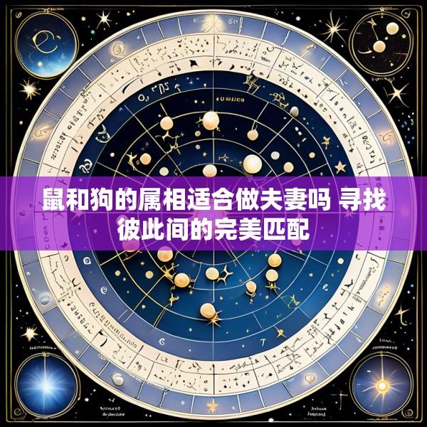 鼠和狗的属相适合做夫妻吗 寻找彼此间的完美匹配