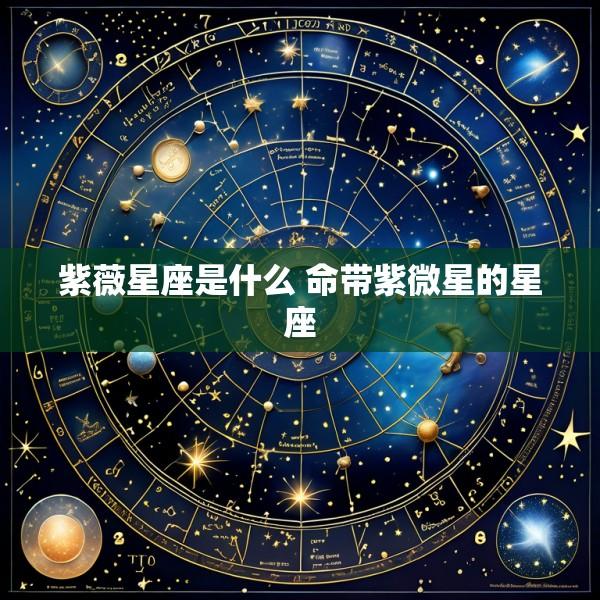 紫薇星座是什么 命带紫微星的星座