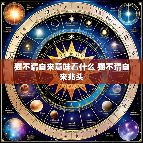 猫不请自来意味着什么 猫不请自来兆头