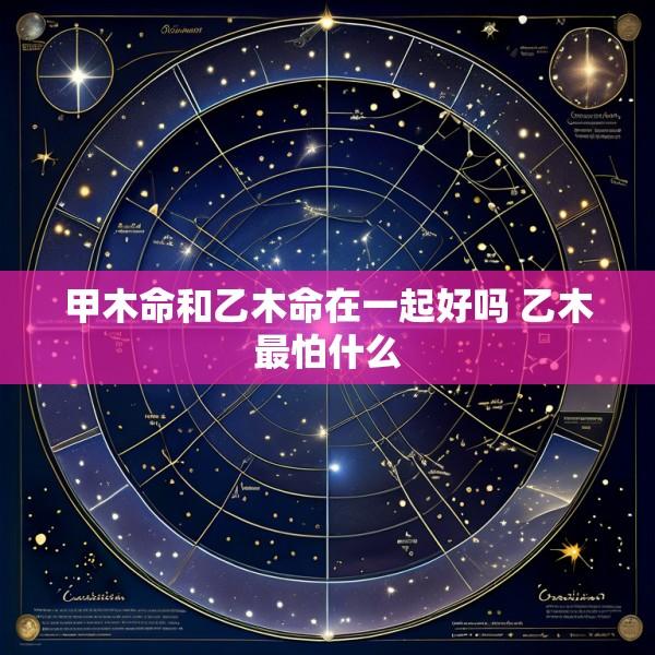 甲木命和乙木命在一起好吗 乙木最怕什么