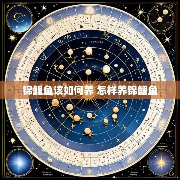 锦鲤鱼该如何养 怎样养锦鲤鱼