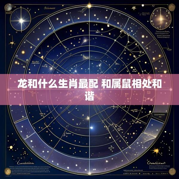 龙和什么生肖最配 和属鼠相处和谐