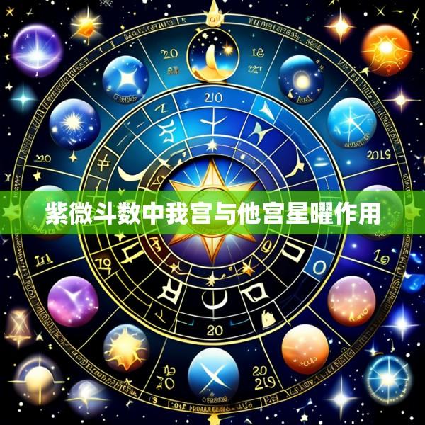 紫微斗数中我宫与他宫星曜作用