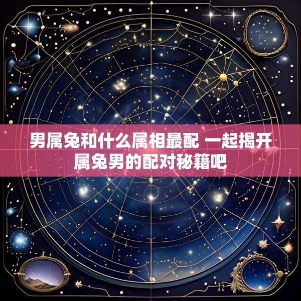 男属兔和什么属相最配 一起揭开属兔男的配对秘籍吧