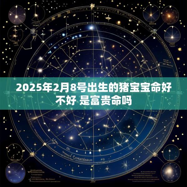 2025年2月8号出生的猪宝宝命好不好 是富贵命吗