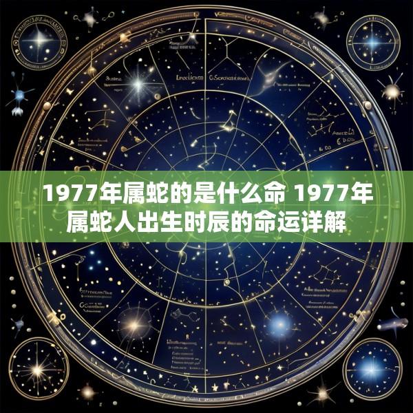 1977年属蛇的是什么命 1977年属蛇人出生时辰的命运详解