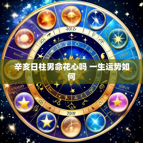 辛亥日柱男命花心吗 一生运势如何