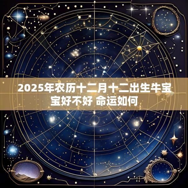 2025年农历十二月十二出生牛宝宝好不好 命运如何