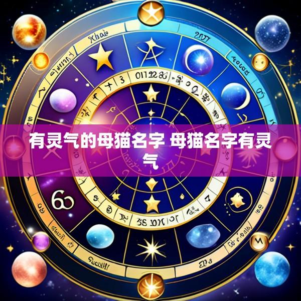 有灵气的母猫名字 母猫名字有灵气