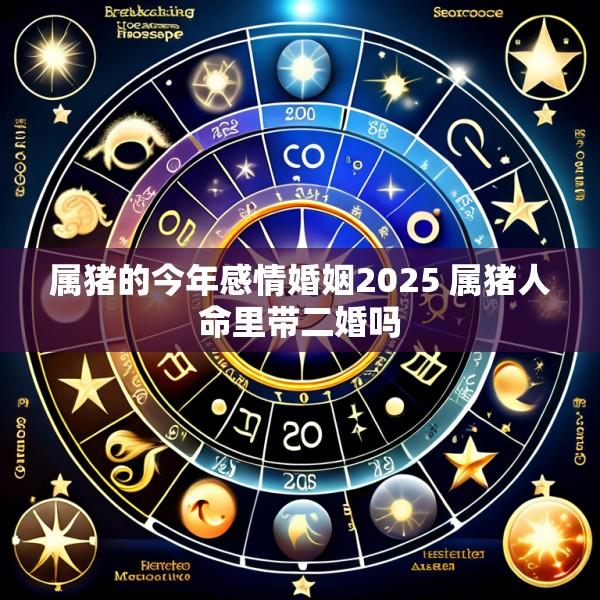 属猪的今年感情婚姻2025 属猪人命里带二婚吗