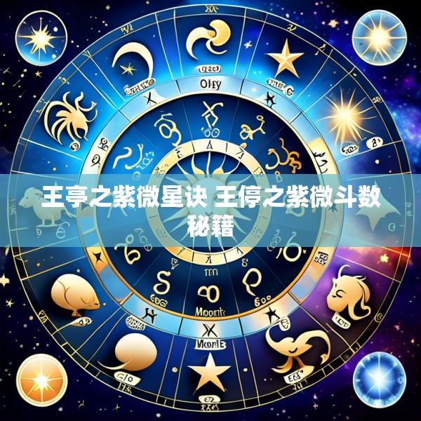 王亭之紫微星诀 王停之紫微斗数秘籍